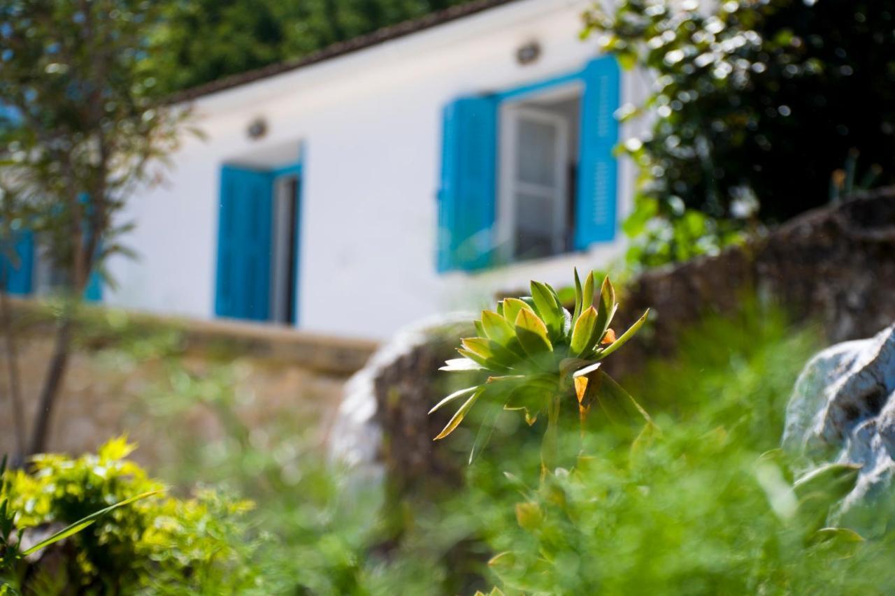 The Olive Cottage - Ithaca 瓦西 外观 照片
